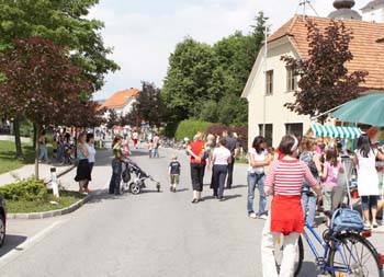 Bild 71